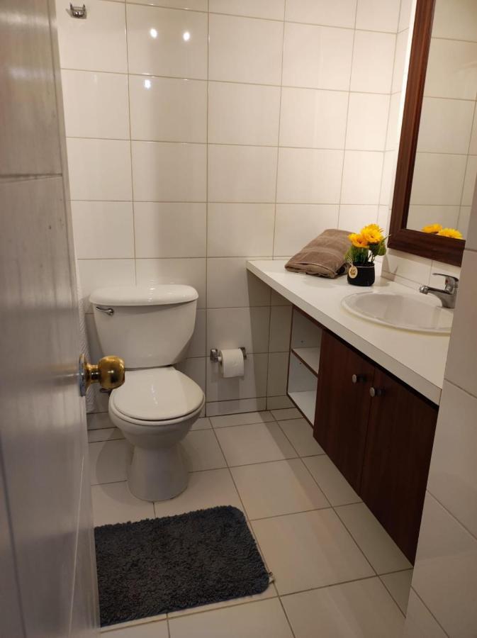 Апартаменты Rosemberg Apart Сантьяго Экстерьер фото